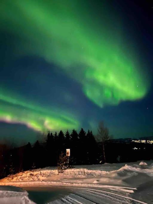 Marta'S Home-Cozy Appartment Near The Airport Andselv ภายนอก รูปภาพ