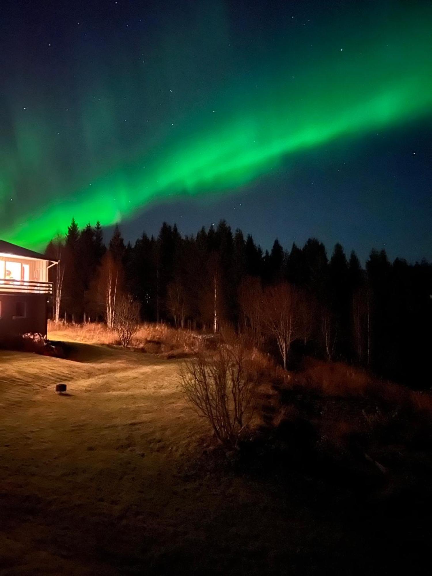 Marta'S Home-Cozy Appartment Near The Airport Andselv ภายนอก รูปภาพ