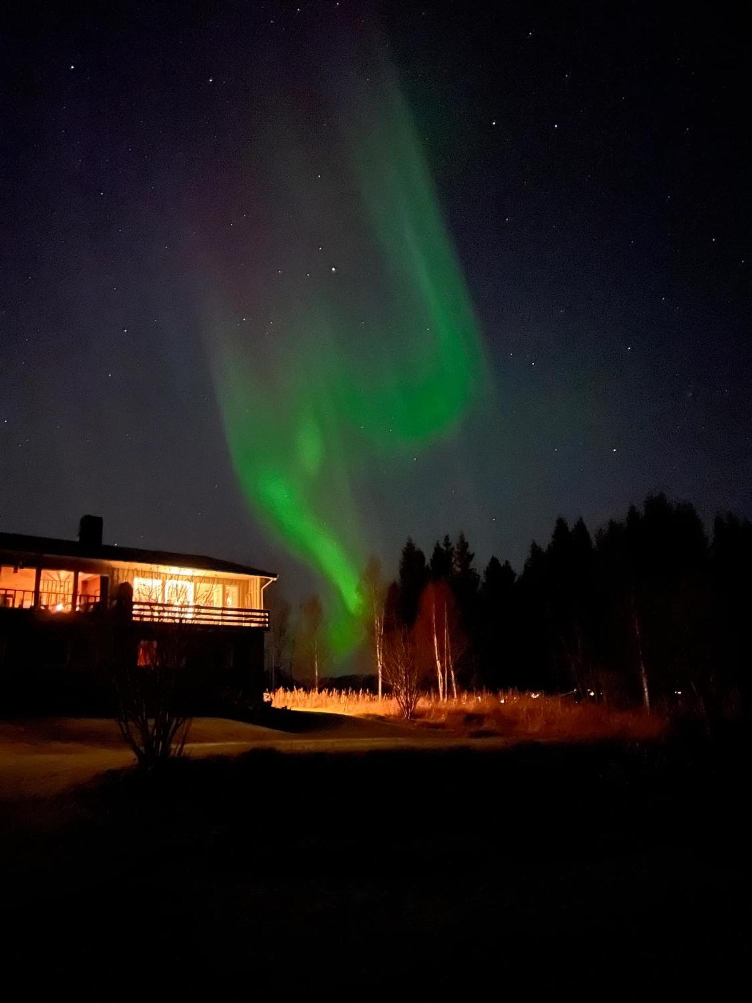 Marta'S Home-Cozy Appartment Near The Airport Andselv ภายนอก รูปภาพ